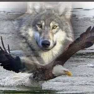 Meet your Posher, Doug